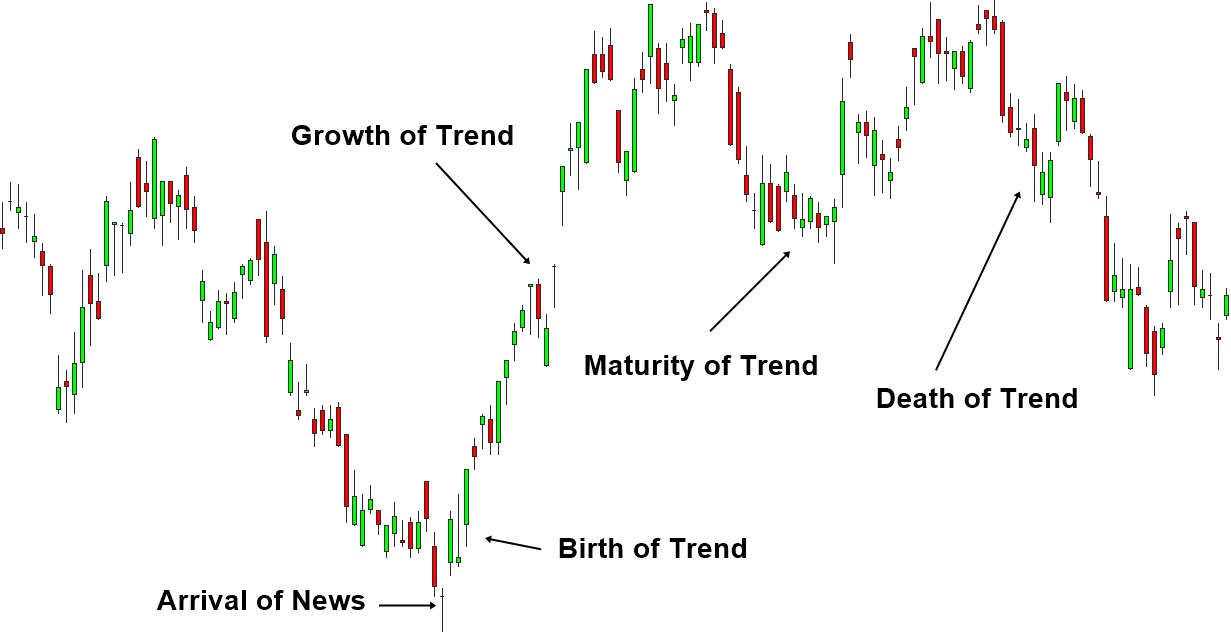Birth, Growth, Maturity and Death of Trend